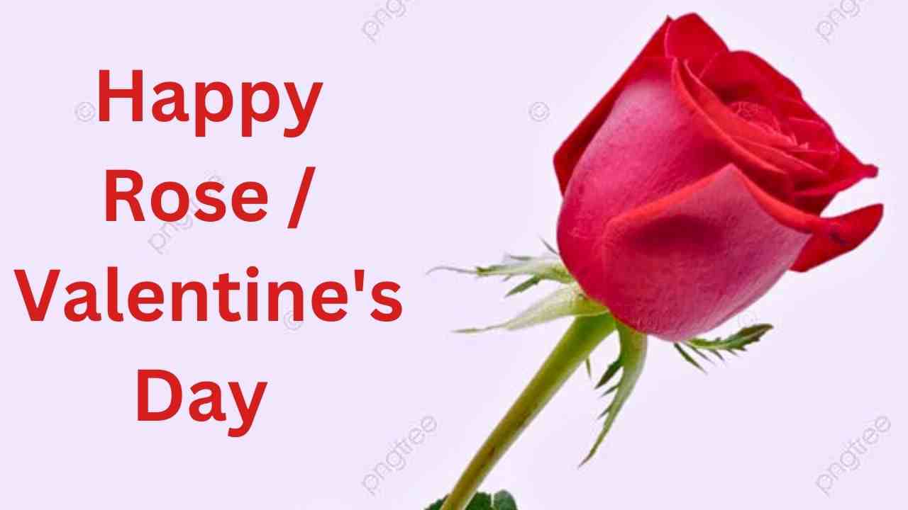 Valentine's Day 2025 is special for you Valentine's Day 2025 is special for you